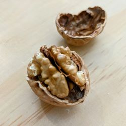 Walnuts in Shell (NEW!)