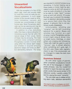 Guide to the Senegal Parrot and its Family